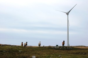 horse-turbine-pic