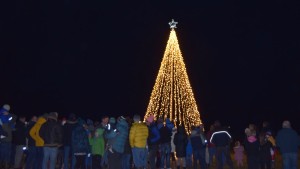 tree1