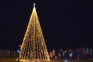 tree3