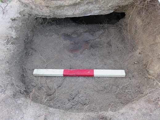 pelvis bone outside the cist