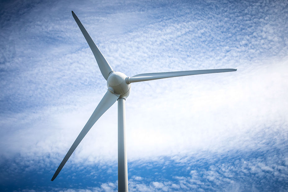 Tilley Updates: June 2024